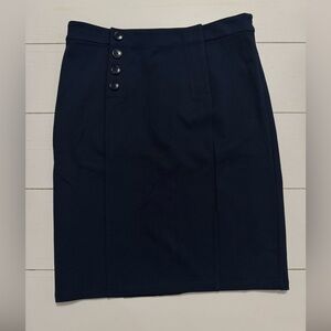 Ann Taylor Pencil Skirt